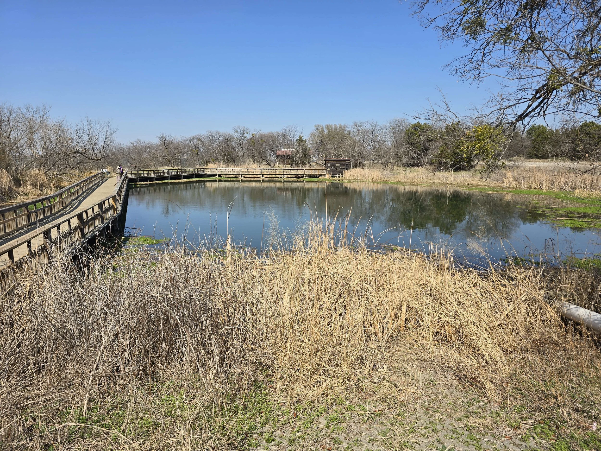 Cedar Hill State Park / Dogwood Canyon