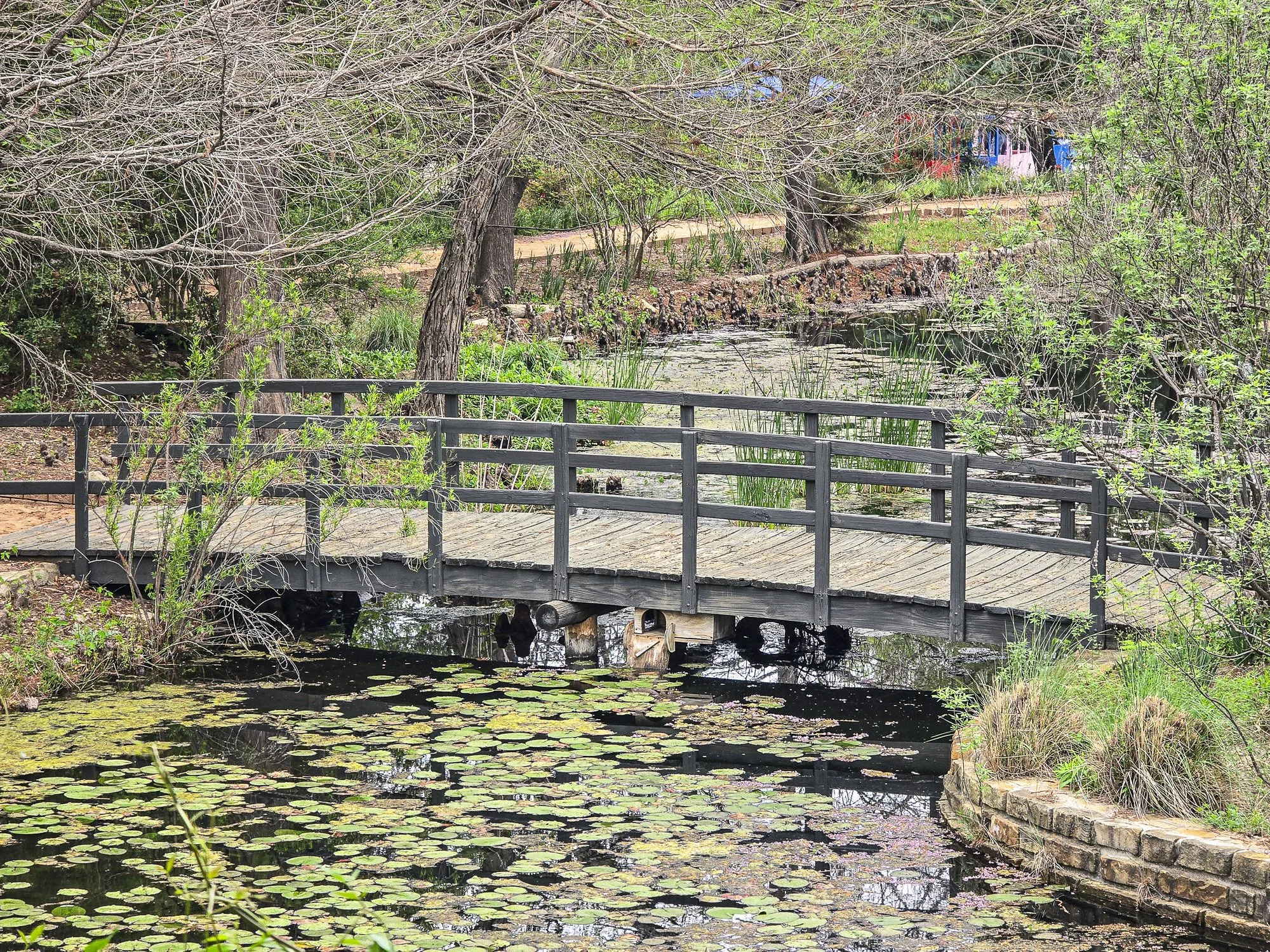 Chandor Gardens & Clark Gardens