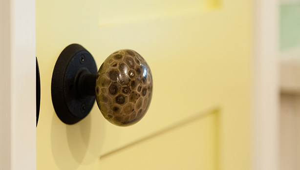 Petoskey Stone Door Knob Detail