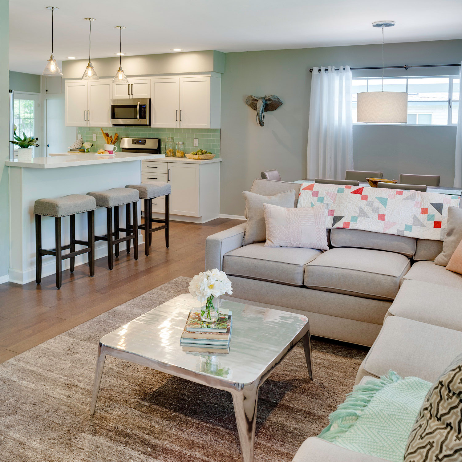 Modern Beach Style Living Room