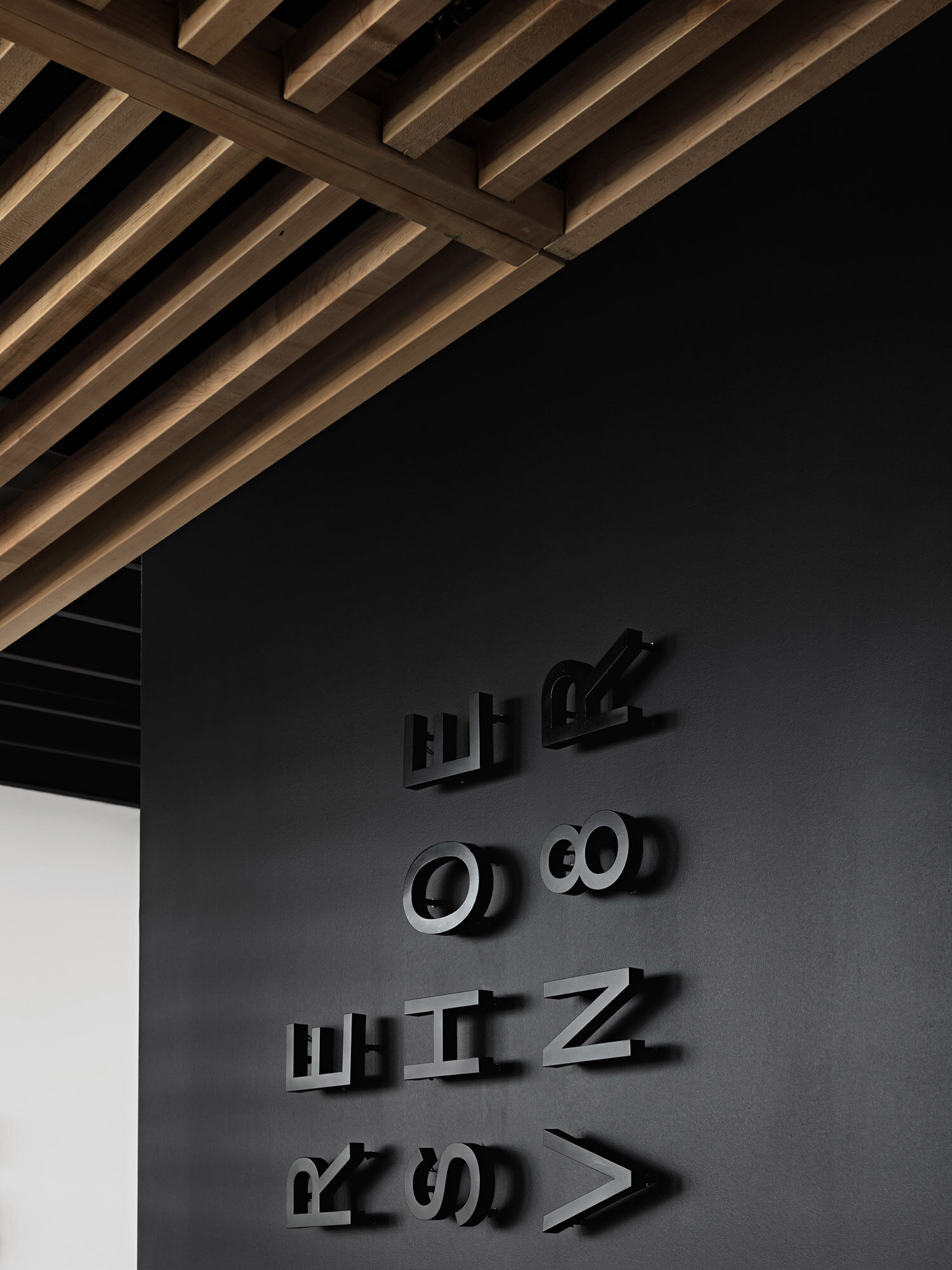 Bold Beautiful Logo Feature