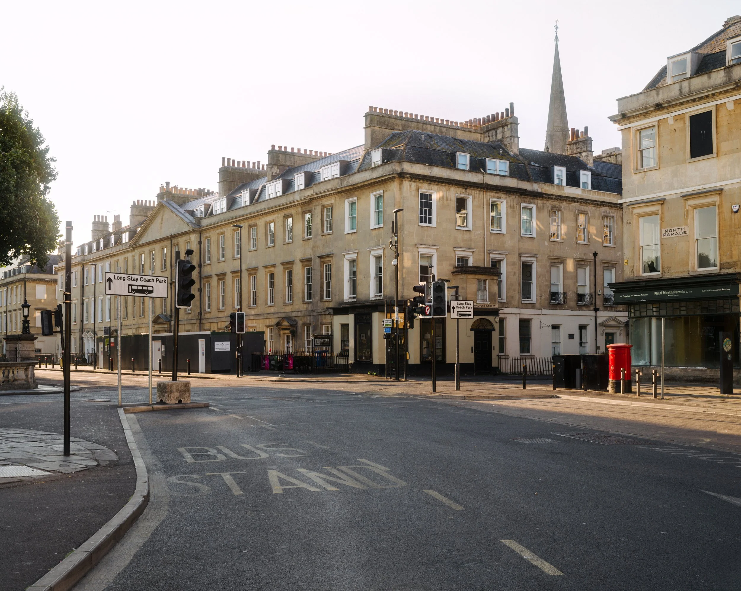 20250825_074153_55.0 mm.jpg