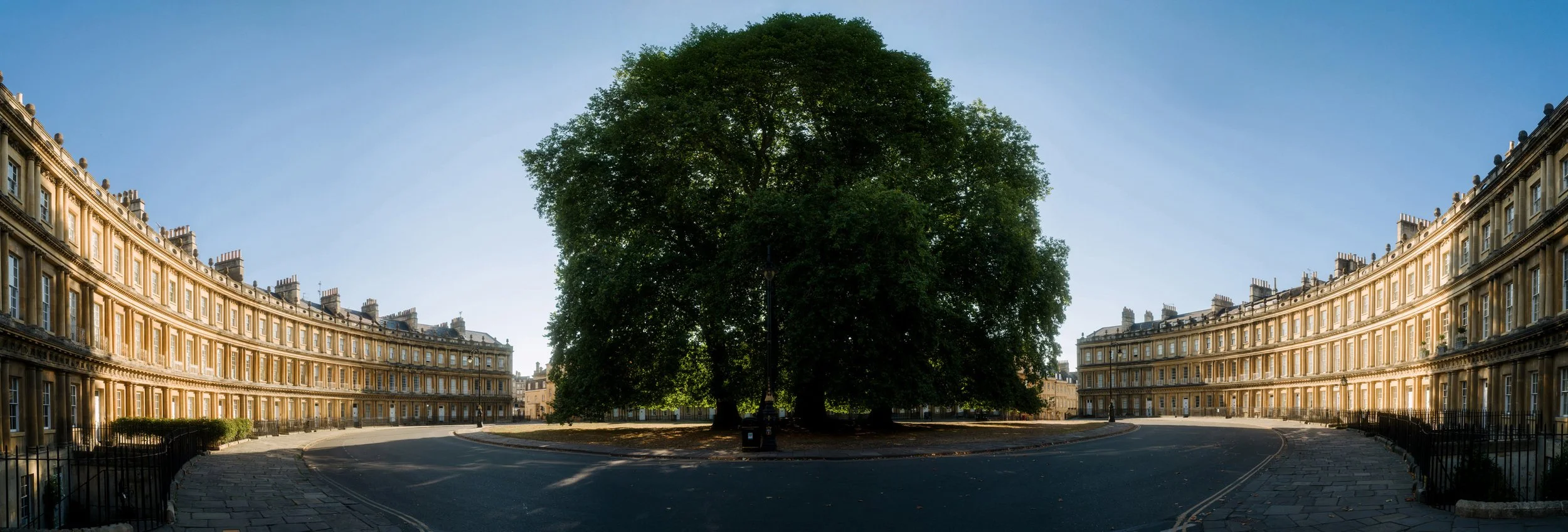 20250825_085225_35.0 mm.jpg