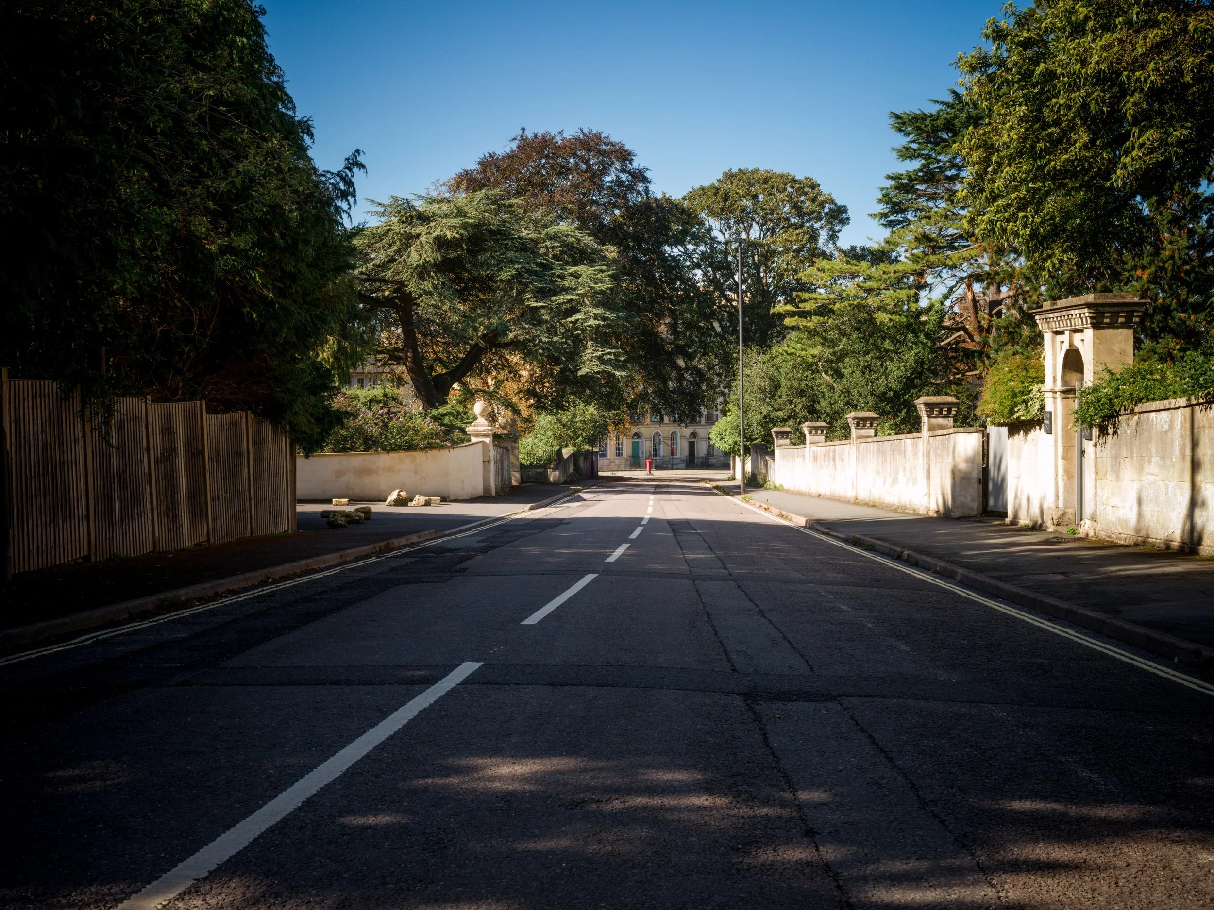 20250908_101909_50.0 mm.jpg