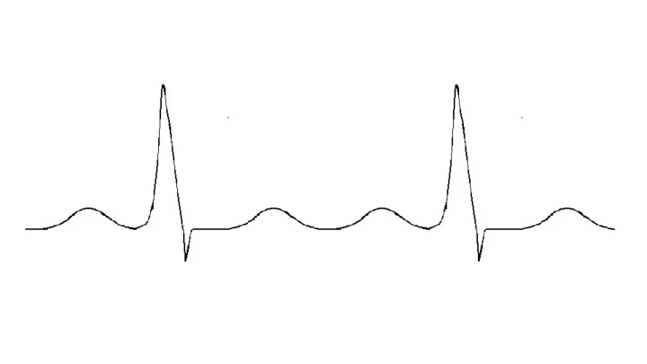 Slide37.jpg
