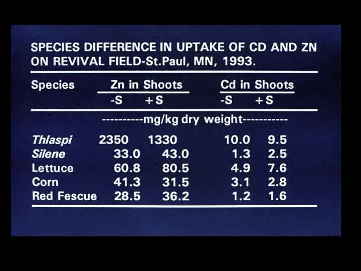 Slide05.jpg
