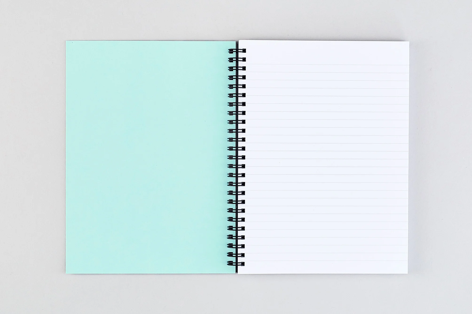 wrap-black-notebook-illustration-leta-sobierajski-04.jpg