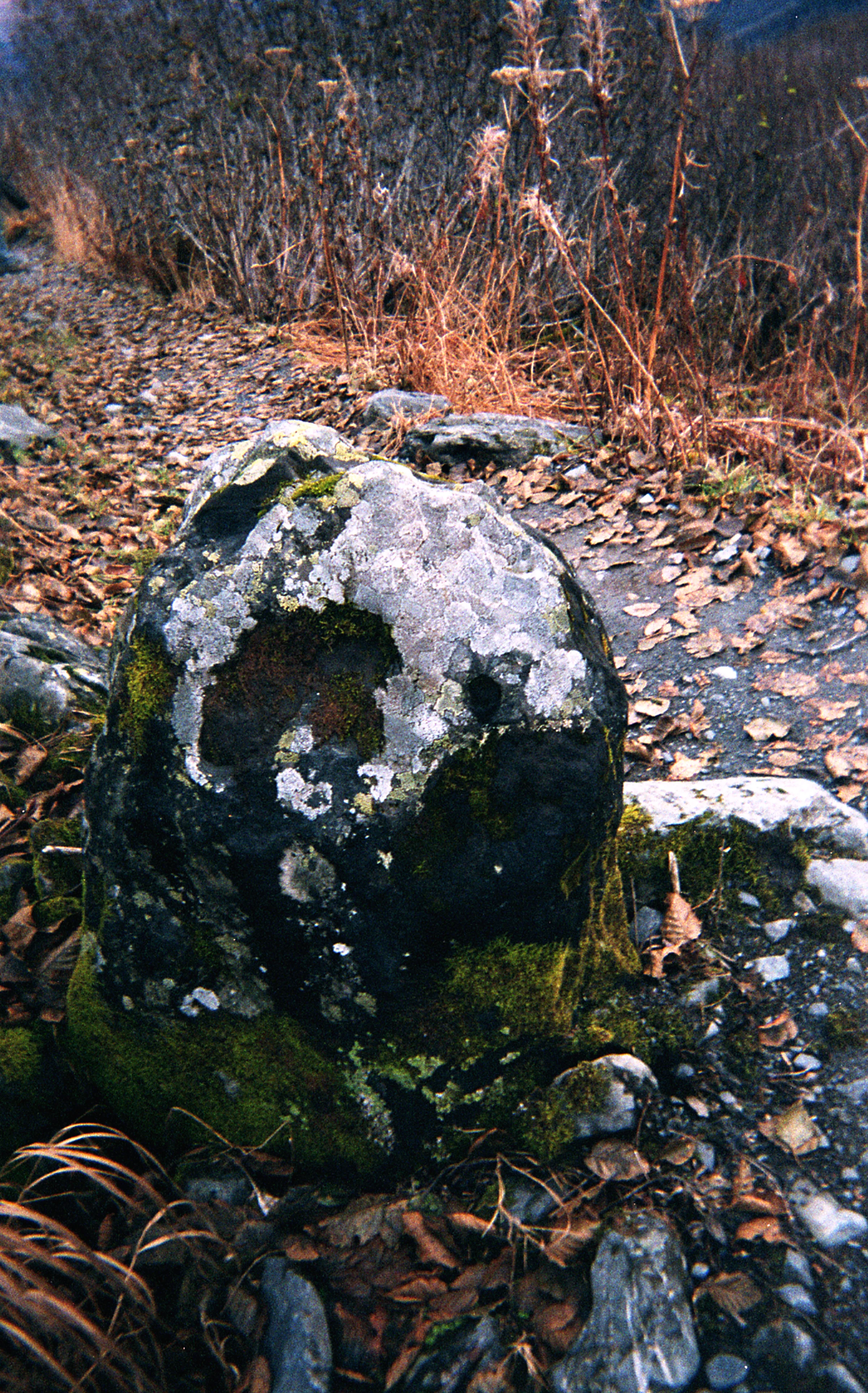 2015-10-30 Alaska067_rock.jpg
