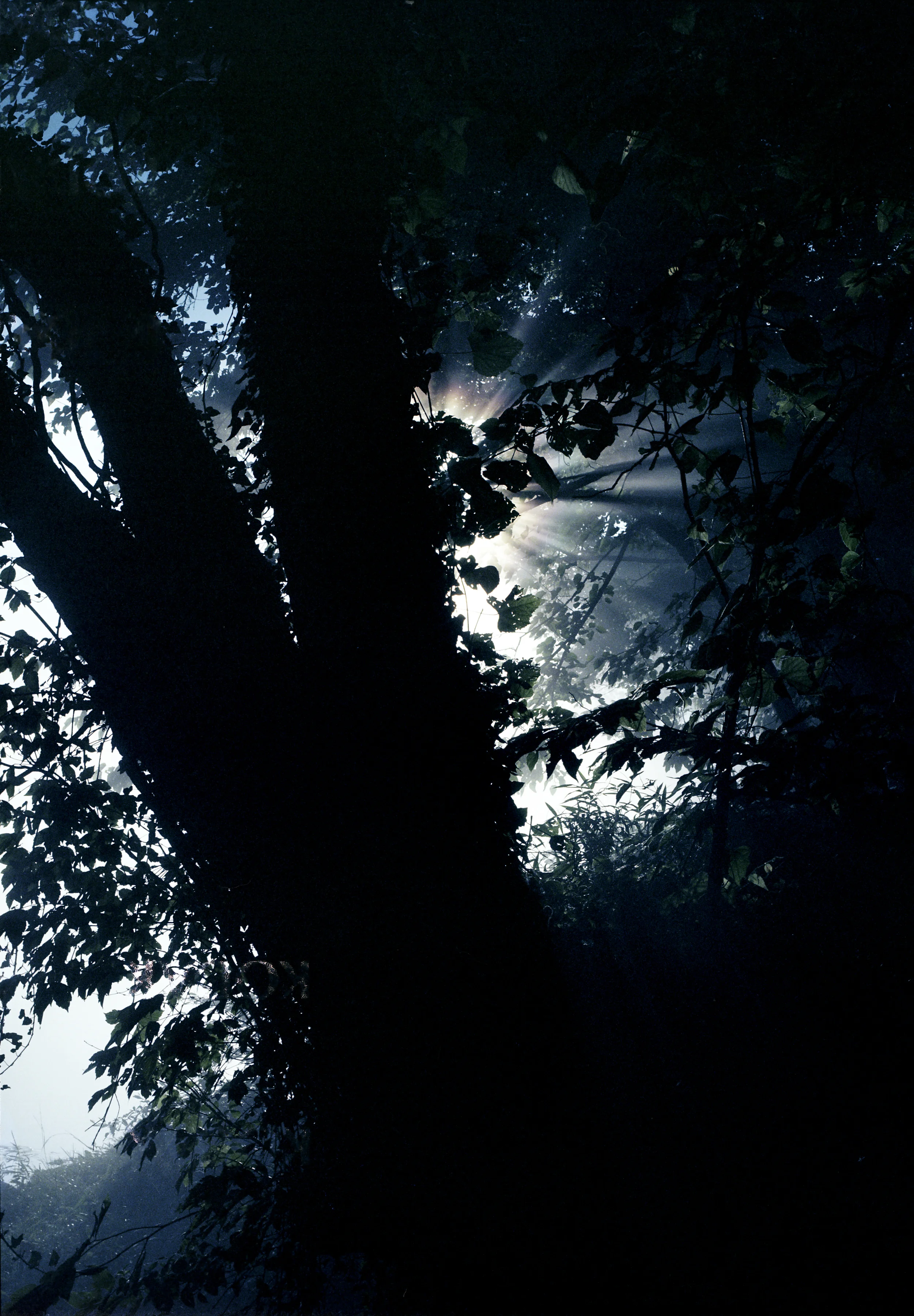 2016-7-8 WR a039_.jpg