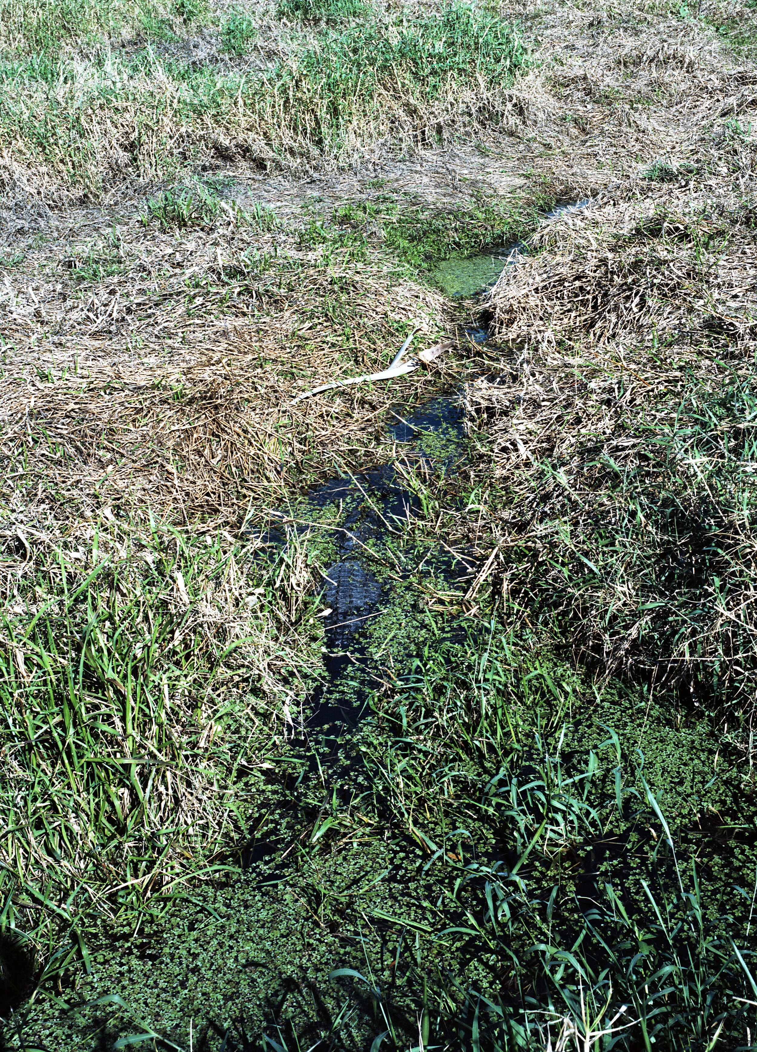 005 2017-3-13107_.jpg