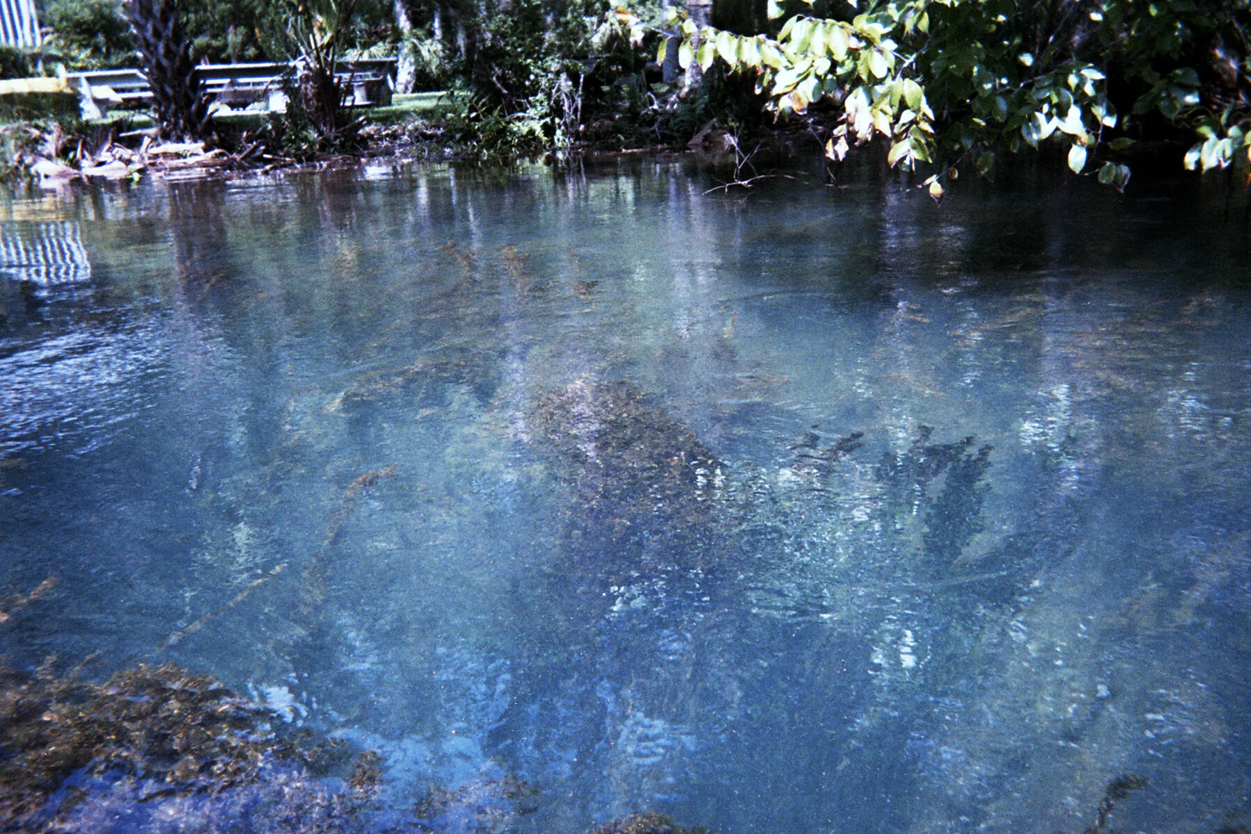 008 2017-11-24099_4x6.jpg