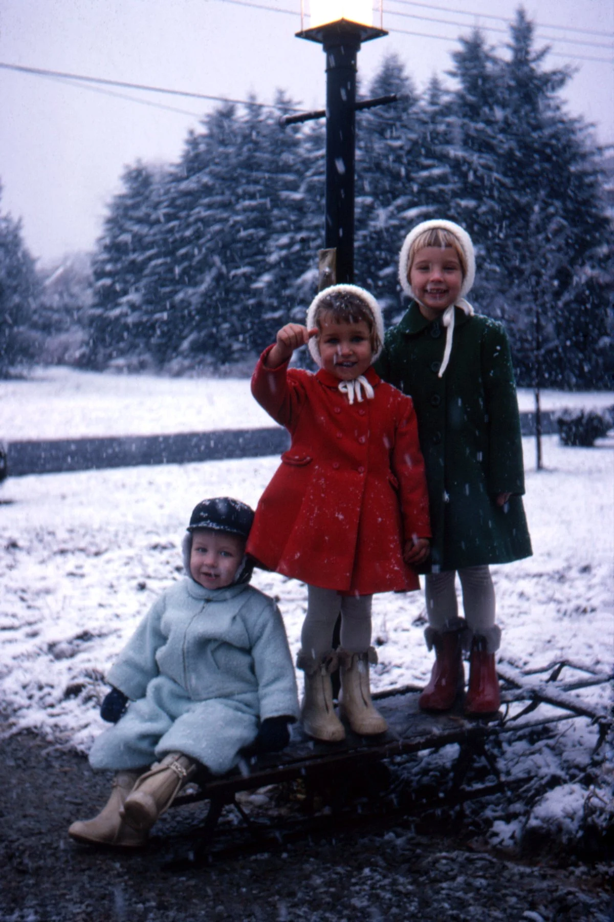 2021-9-23 AE00174x6print.jpg