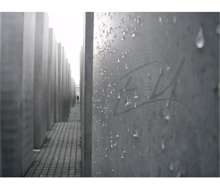 Tears of the Holocaust