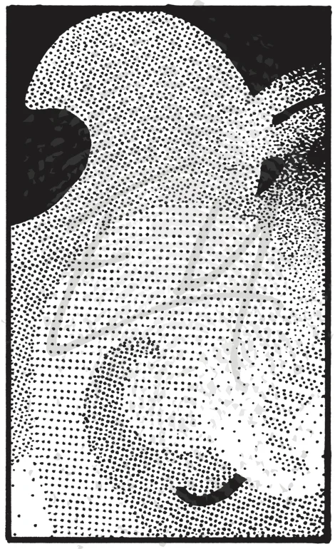 2D_5.4.1