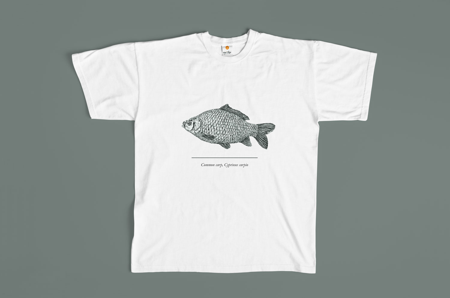 bite-edge_t-shirt.jpg