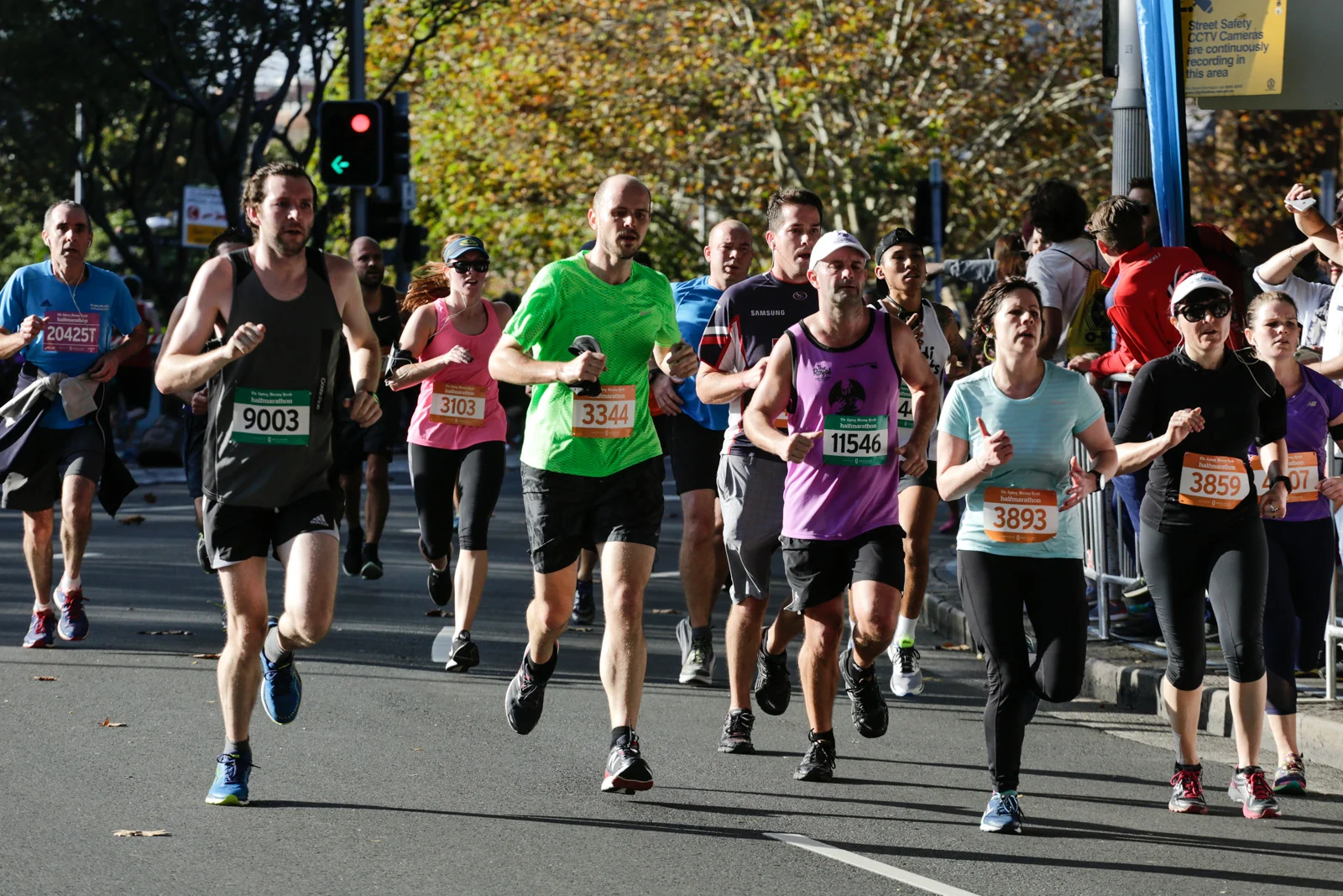 SMH Half Marathon --« Salty Dingo 2017-20292.jpg