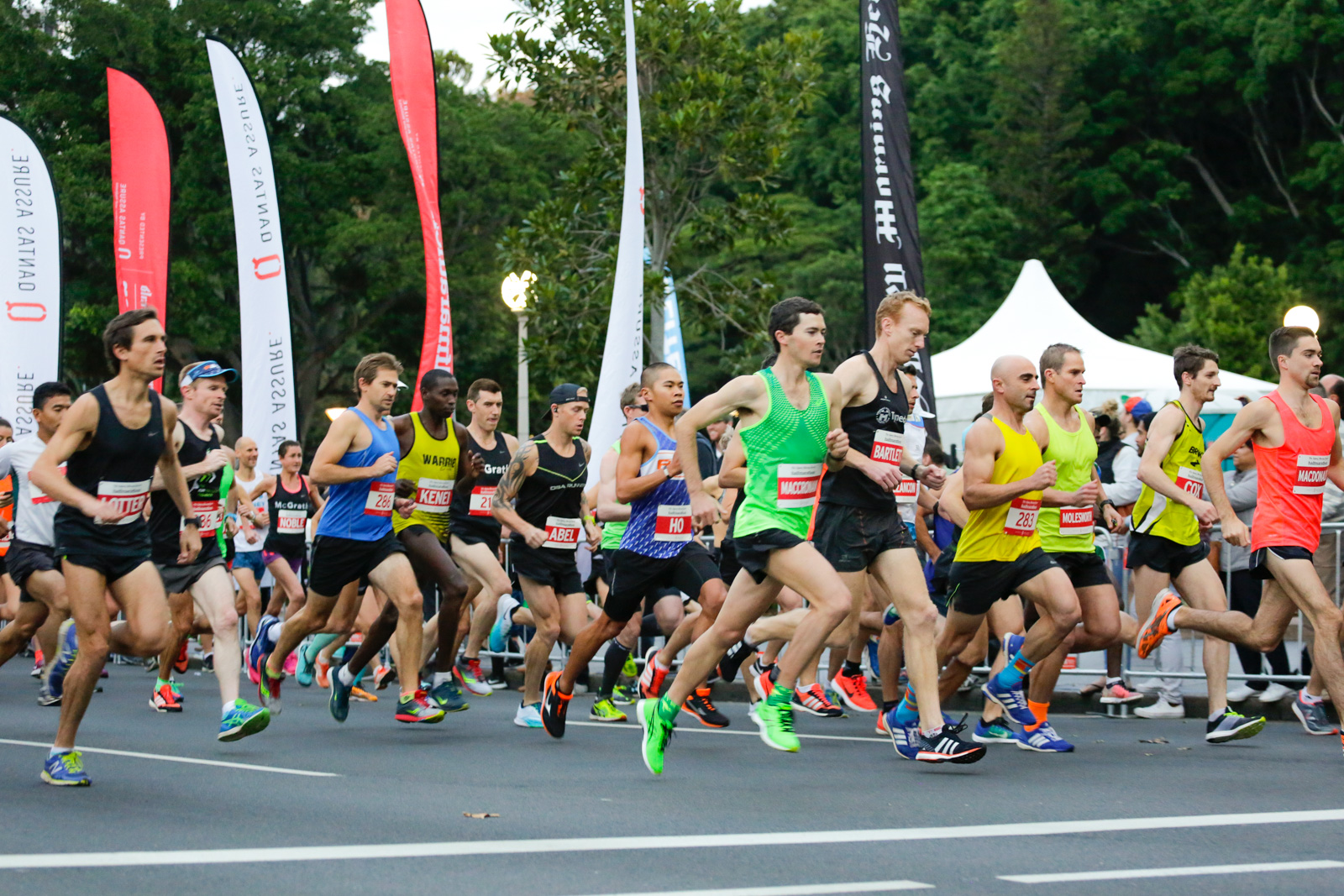 SMH Half Marathon --« Salty Dingo 2017-29430.jpg