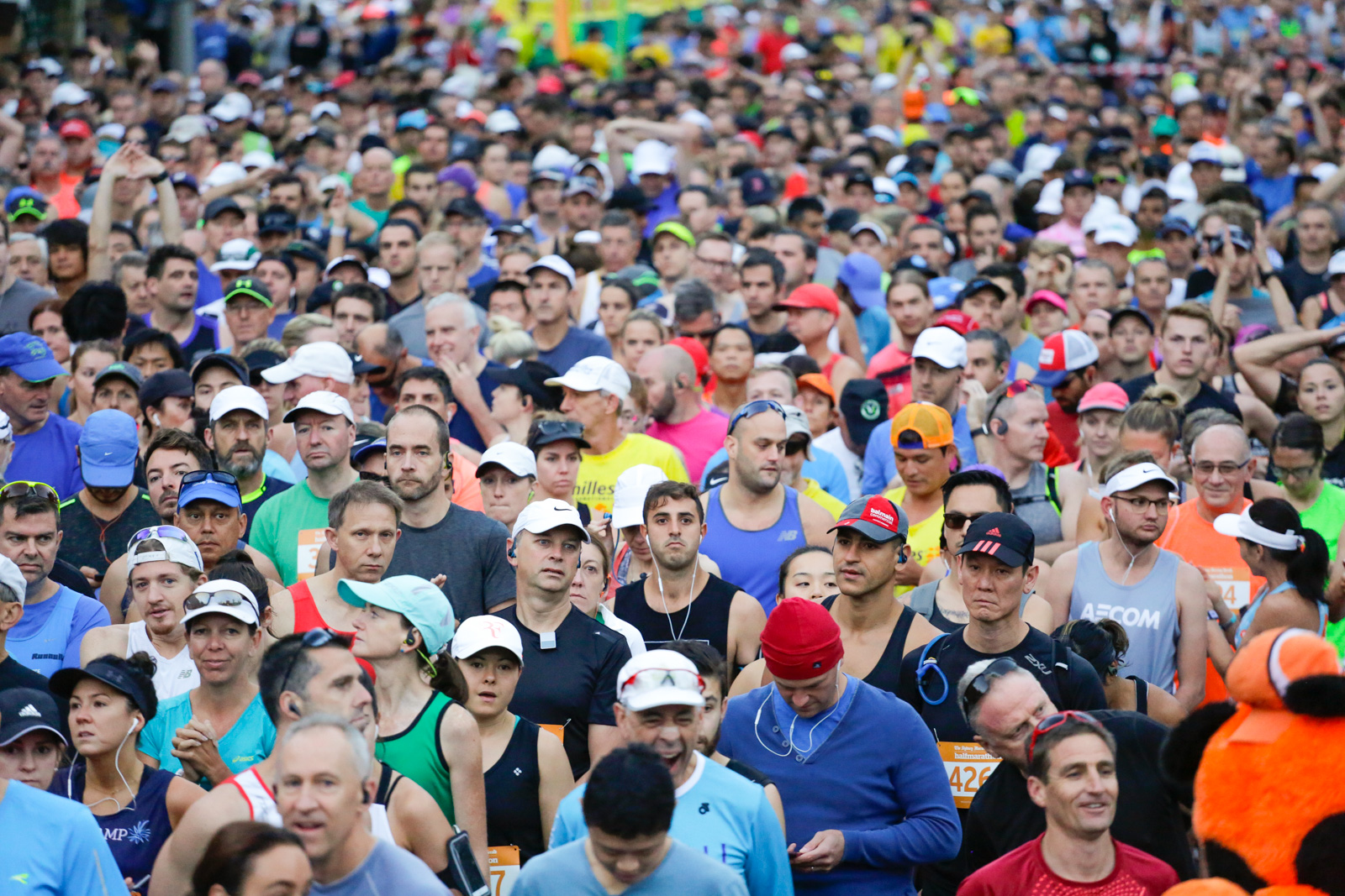SMH Half Marathon --« Salty Dingo 2017-29477.jpg