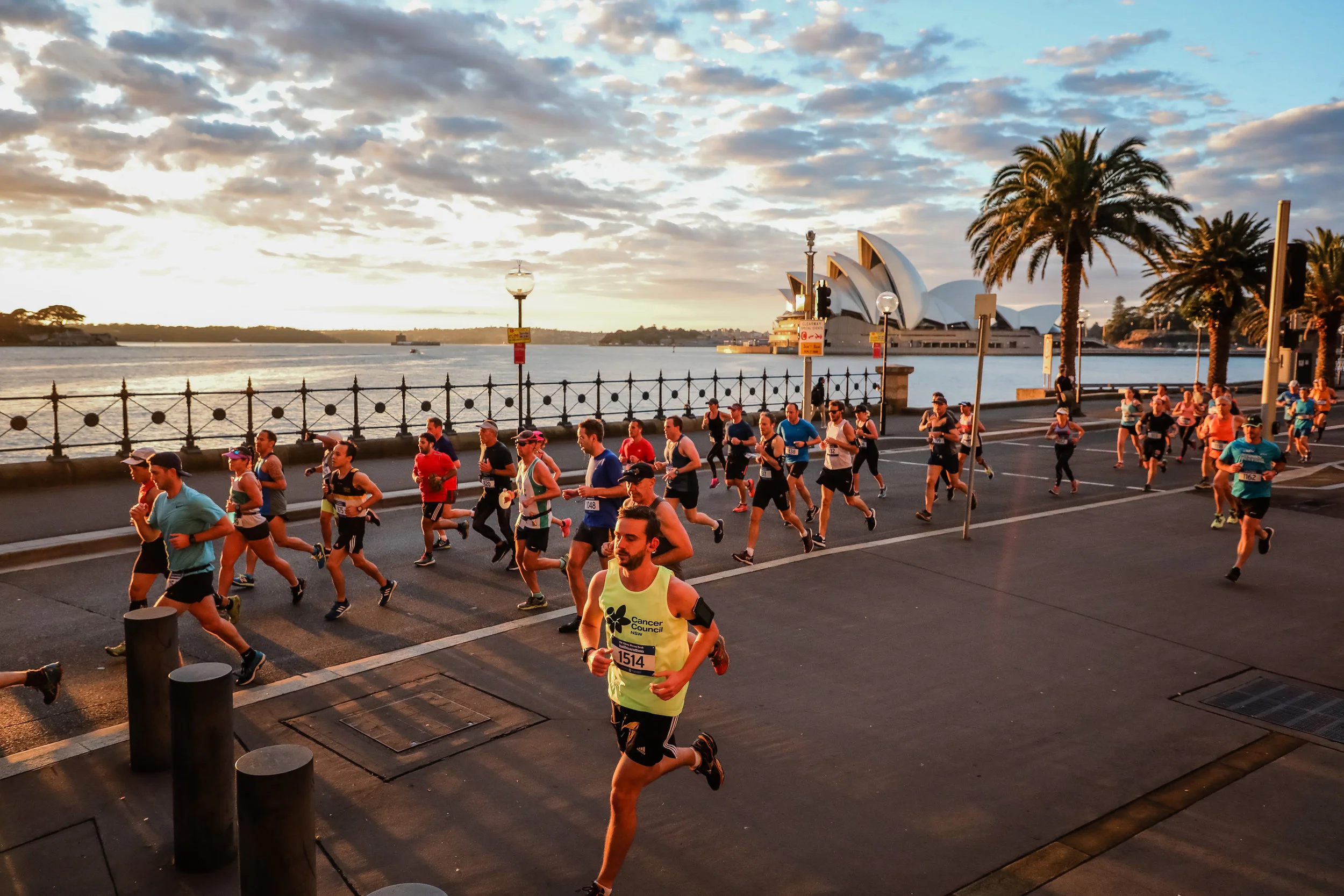 2017 Image Gallery — Sydney Morning