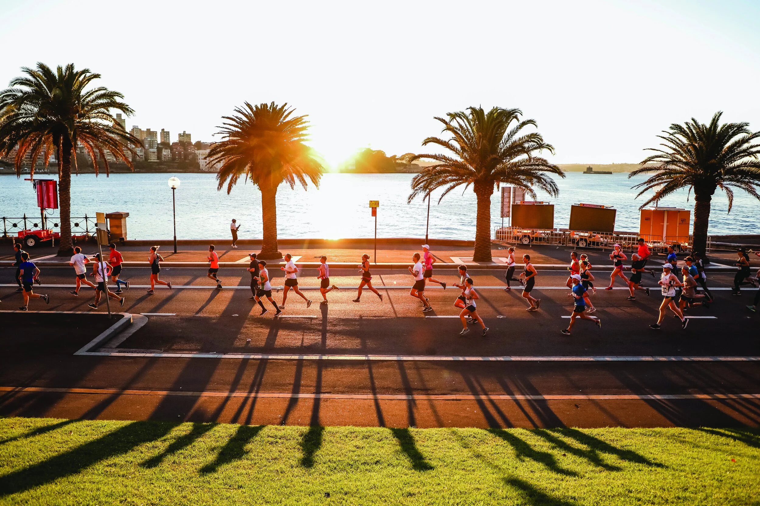 Sydney Morning Herald Half Marathon sydney-morning-herald-half-marathon