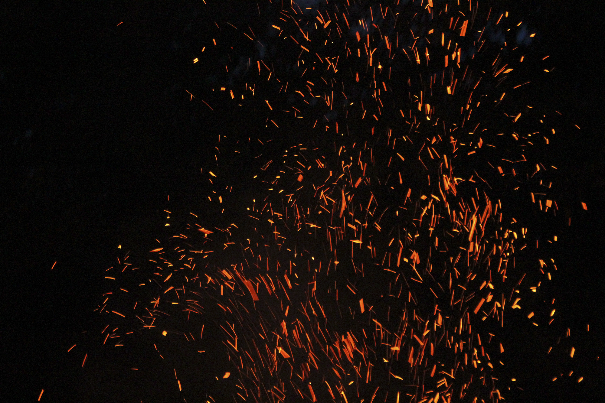 What Everyone Should Know About Wildfires