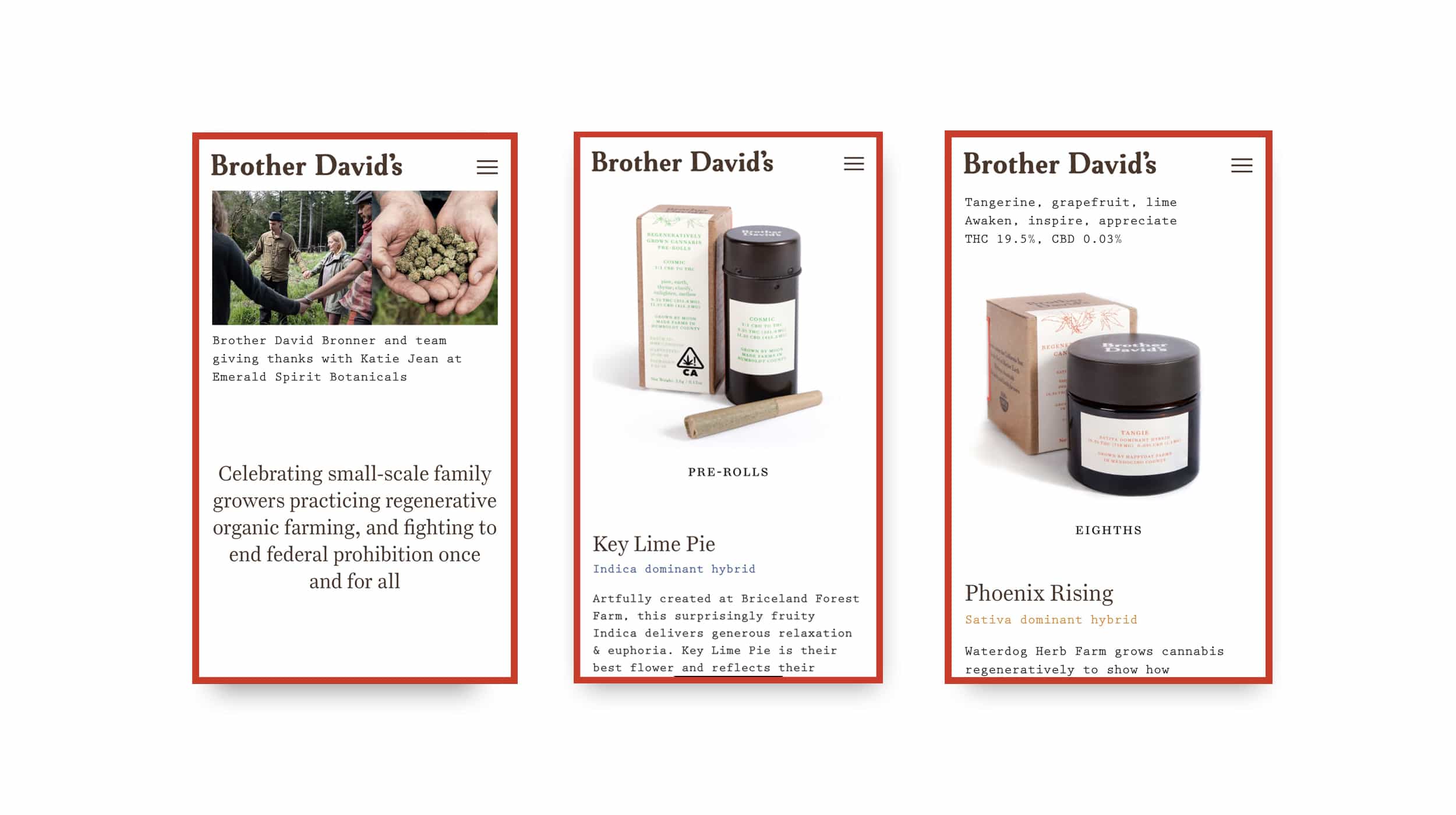 Brother David’s