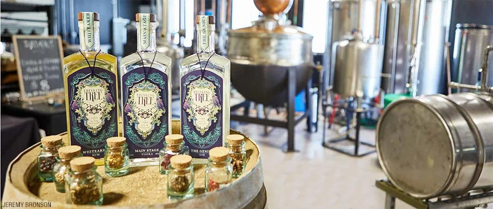 Spirited Away: Thinking Tree Spirits Adds Dimension to Eugene Libations