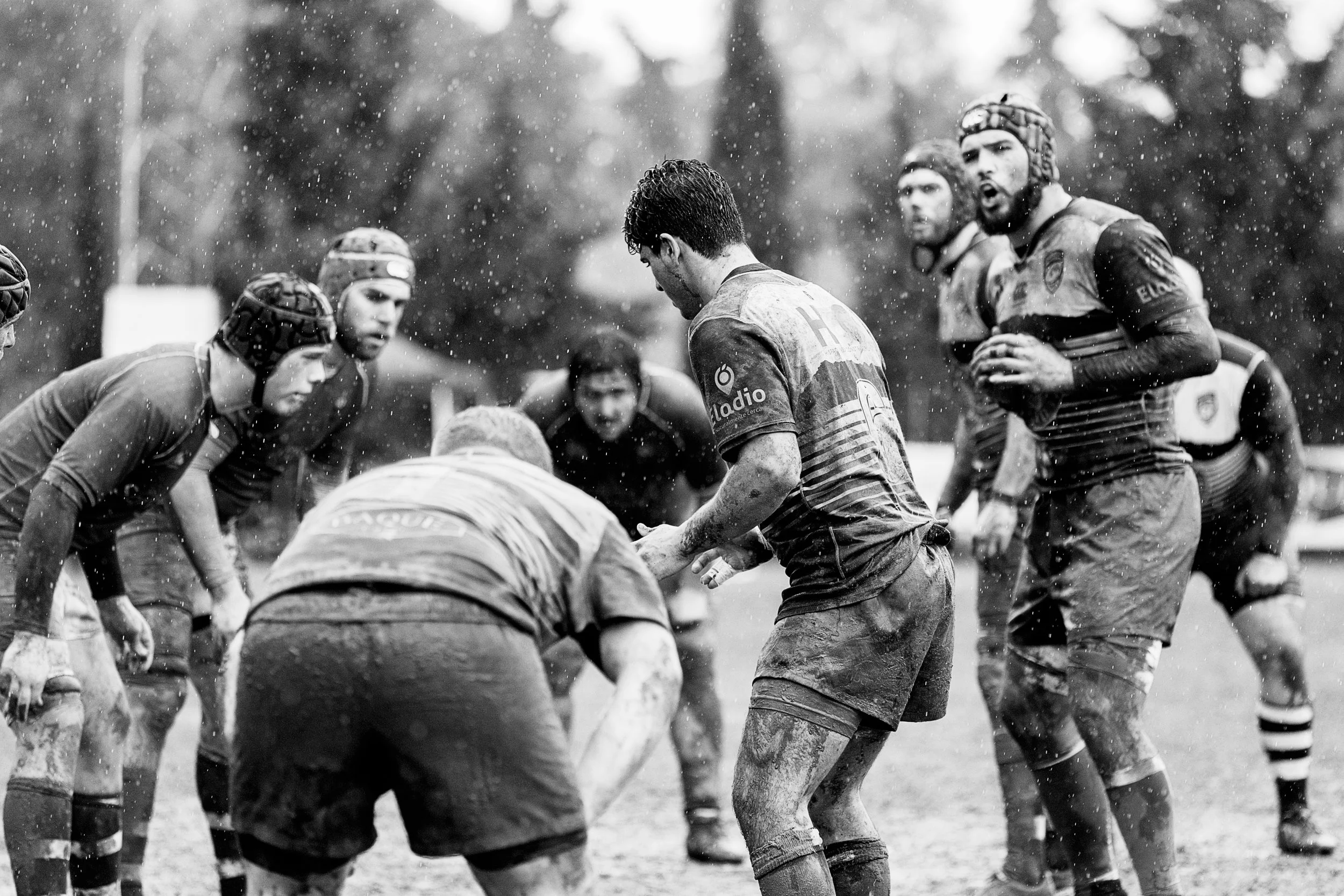How does a High-Performance Team, work?