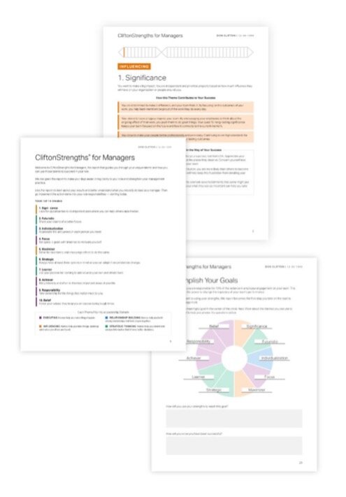 CliftonStrengths3.jpg