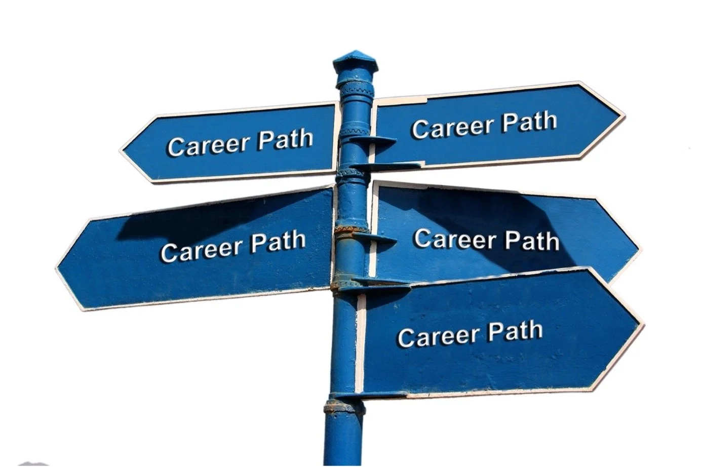 The Psychology of a Career