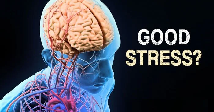 Management for Beginners - How to make Stress work for you