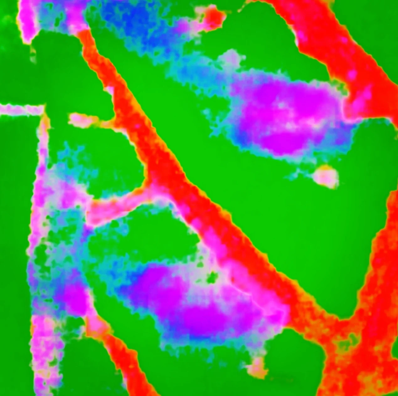 FINDING INSPIRATION IN DAILY LIFE...CELEBRATING UNEXPECTED TREASURES