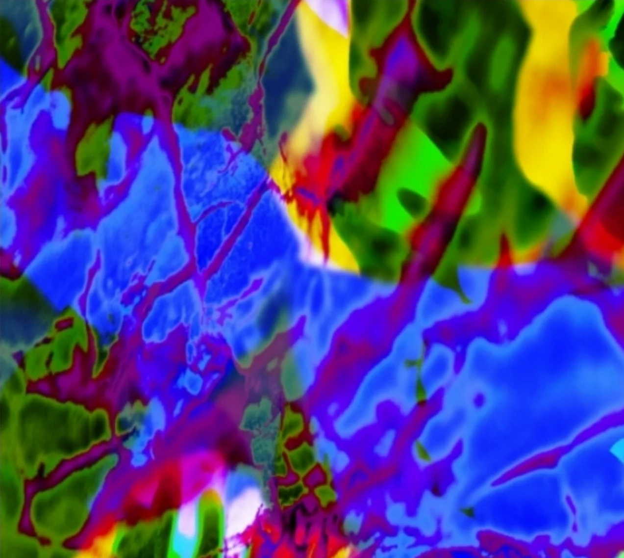 jungle beats addition.JPG