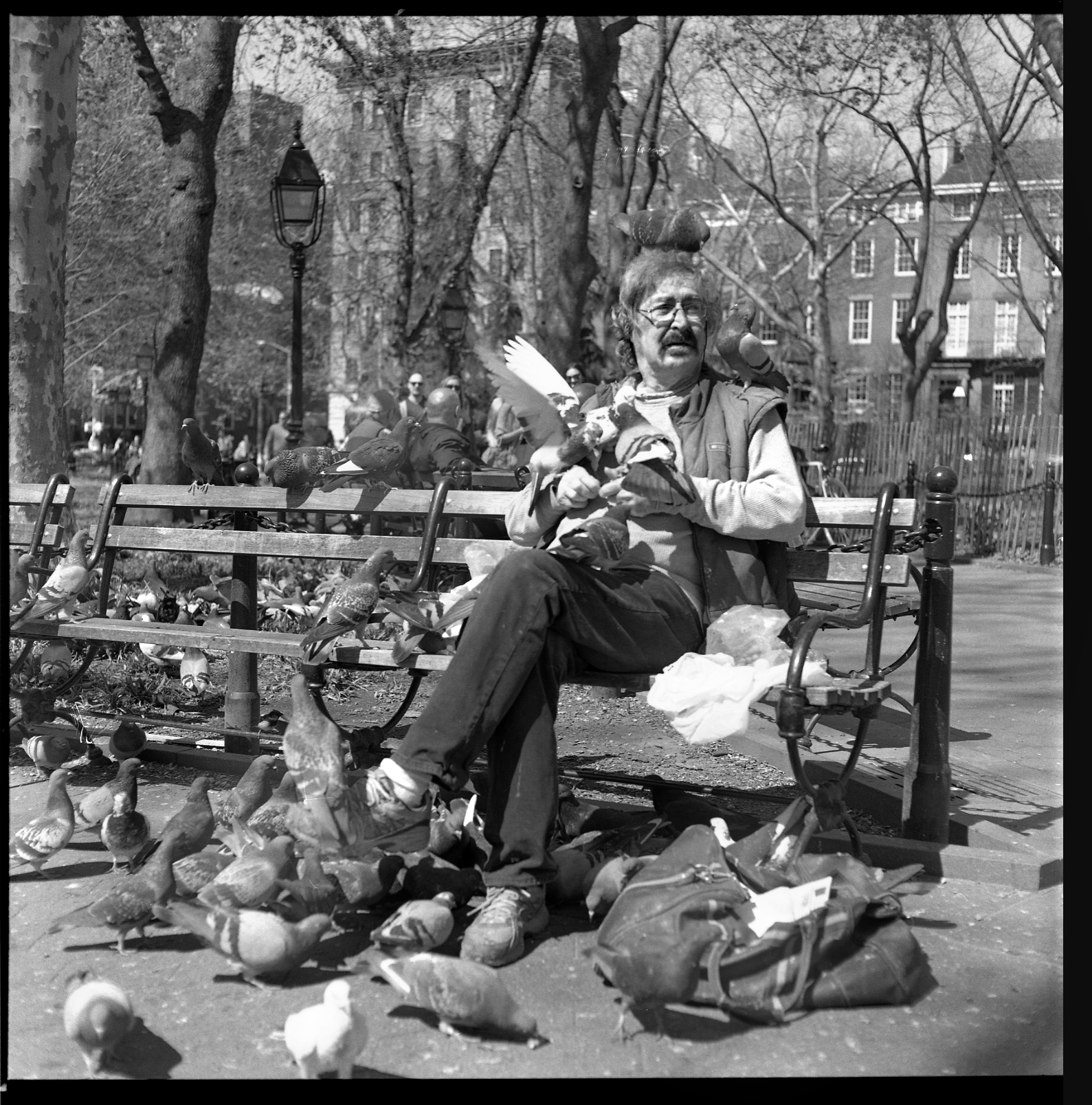   Washington Sq. Park, 2016.   © Cameron Schiller 