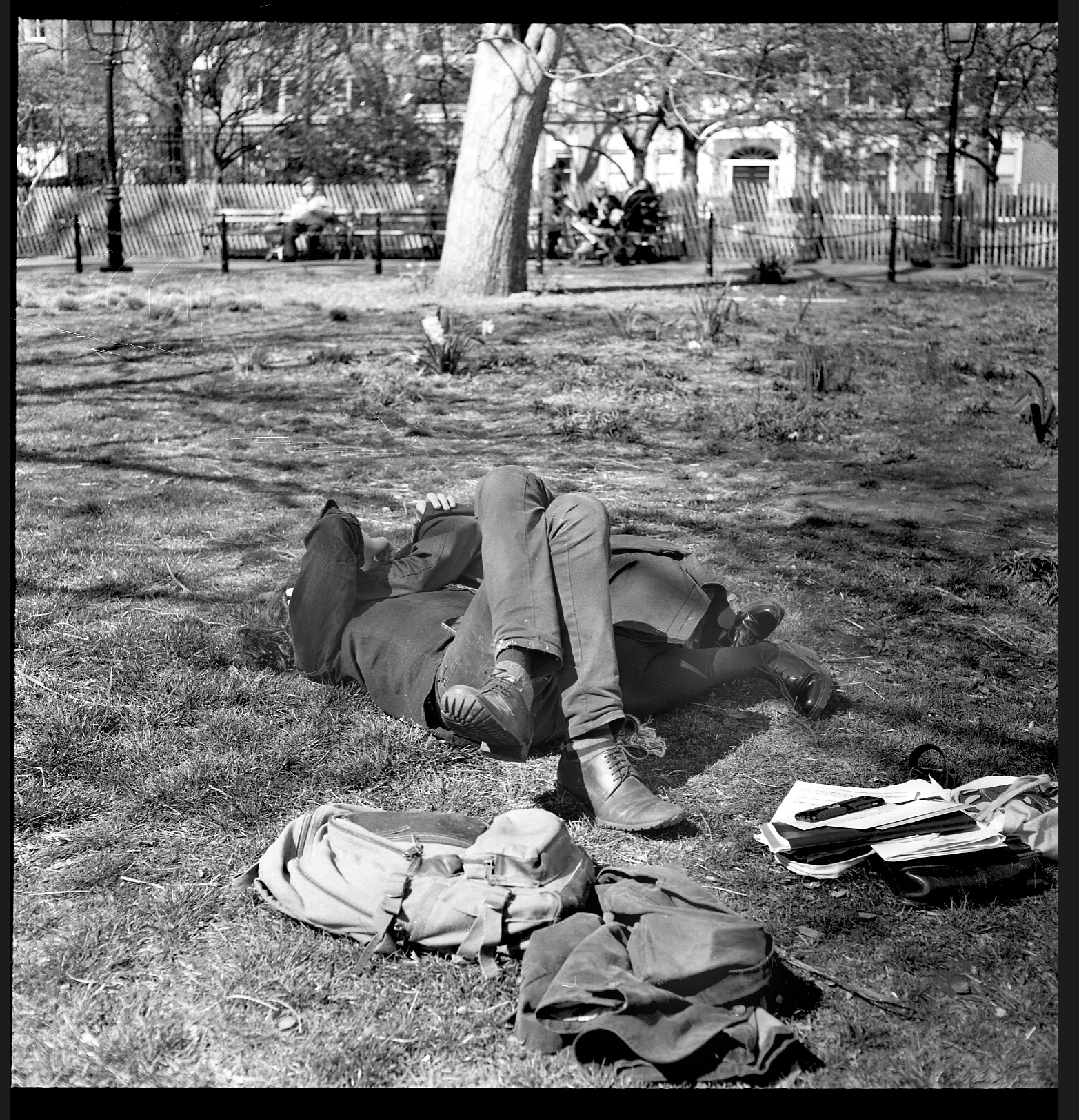 Lovers in the Park. New York, 2016