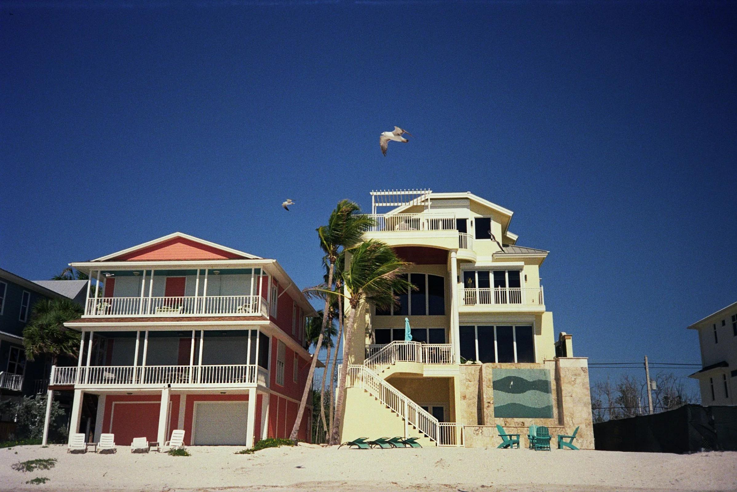 Florida, (2026).