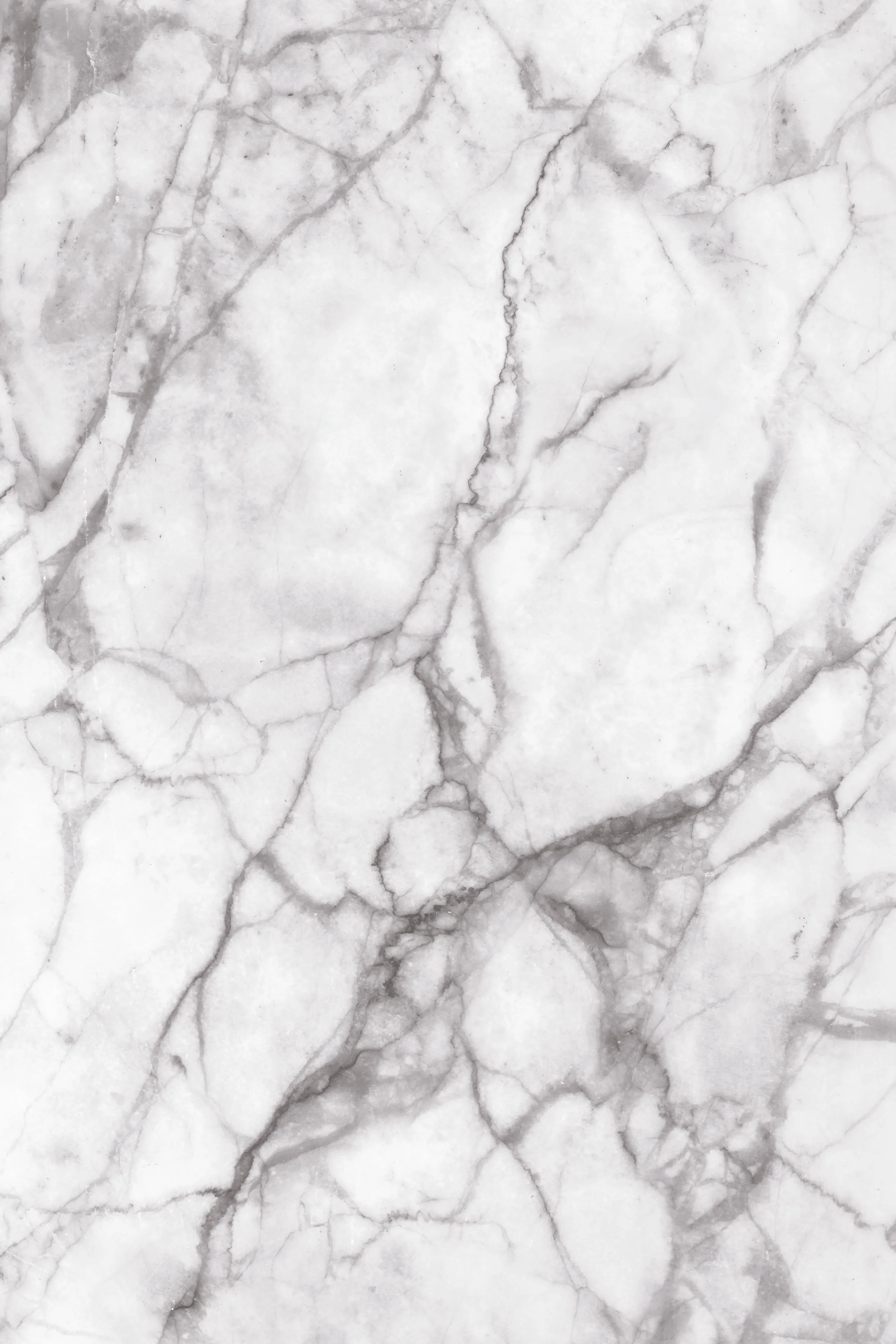 shutterstock_252312877_CMYK• 50 light4.jpg