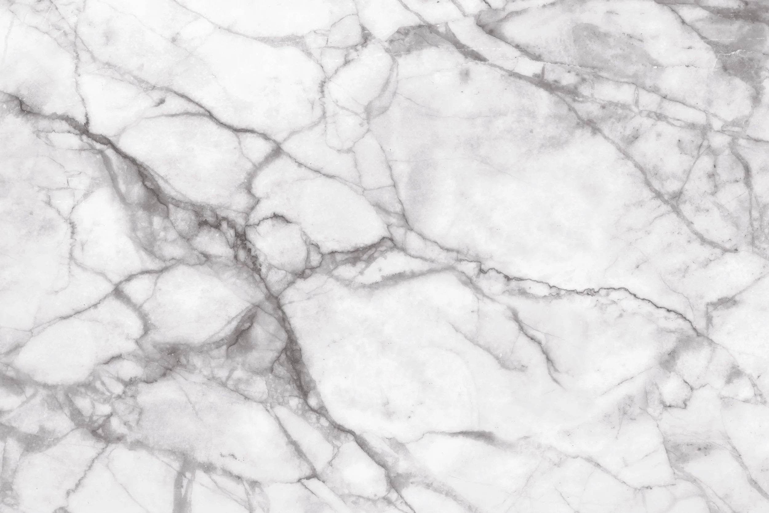 shutterstock_252312877_CMYK• 50 light1.jpg