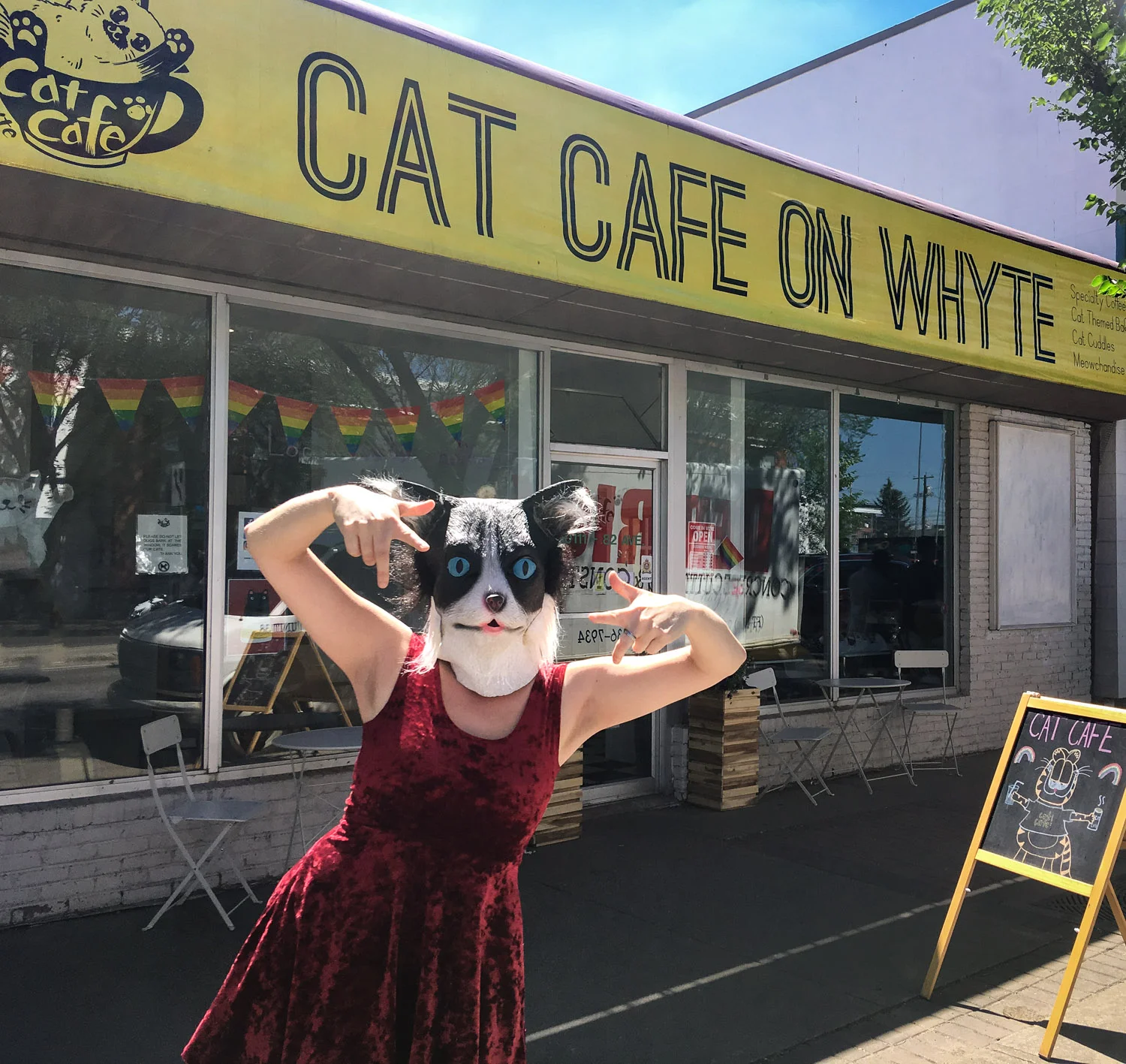 Kitty&TheRooster-CatCafeonWhyte-Edmonton.jpg