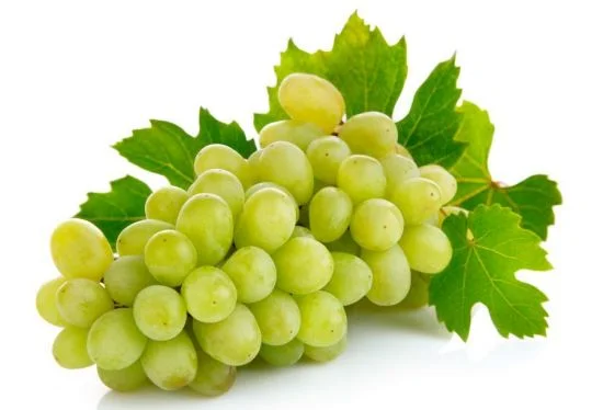 Grapes11.jpg