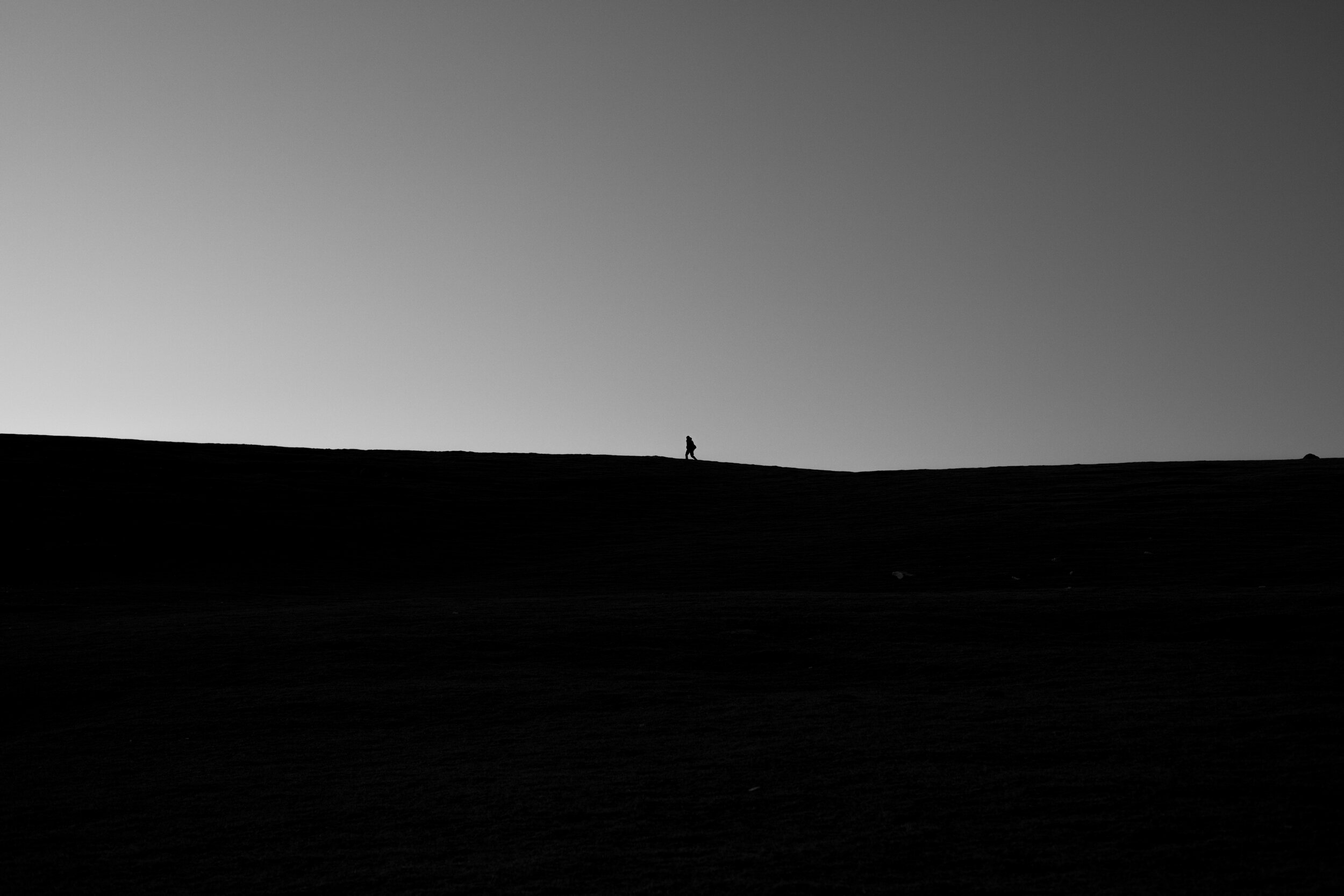 HARRISONROACH_WALKING_ANDREWKAINEDER.jpg