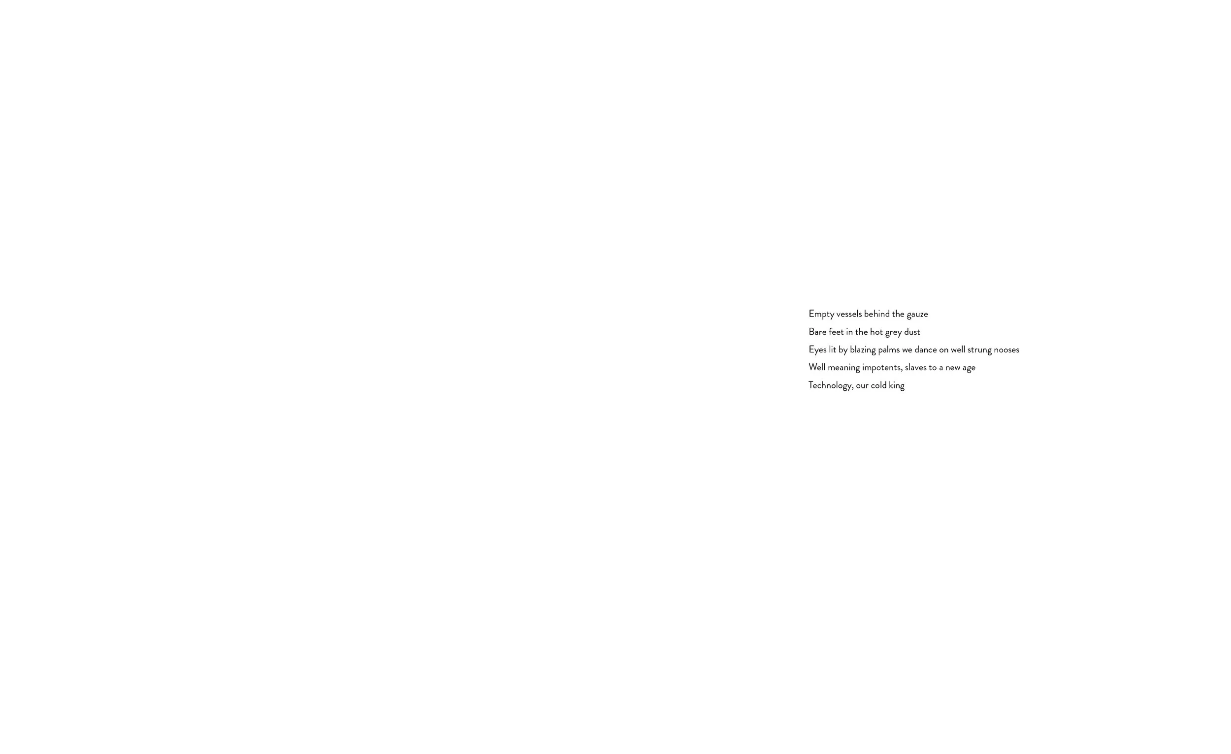BTN Book - WEB12.jpg
