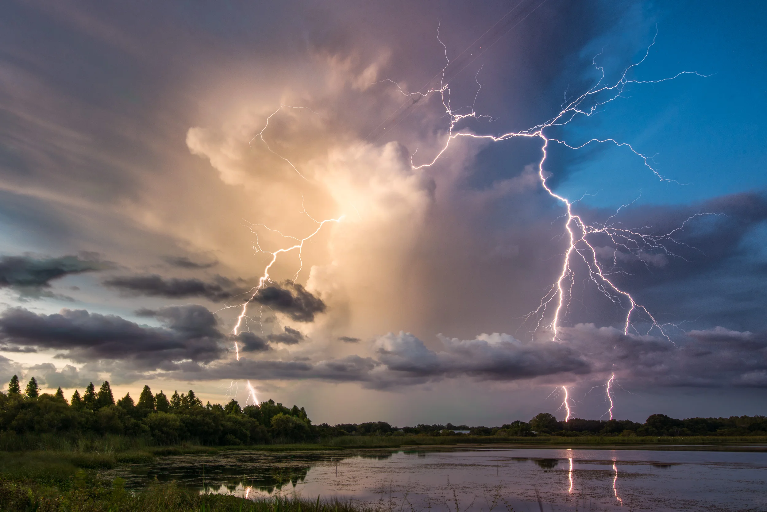 Carrollwood Storm