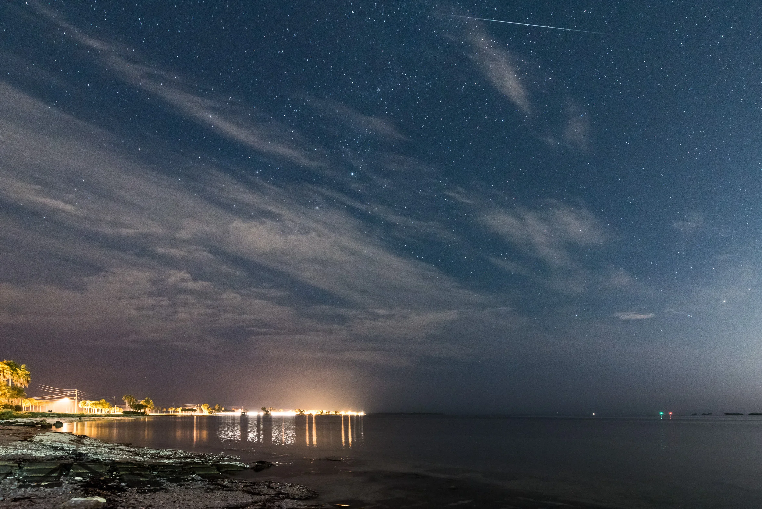 Perseid Meteor over Dunedin