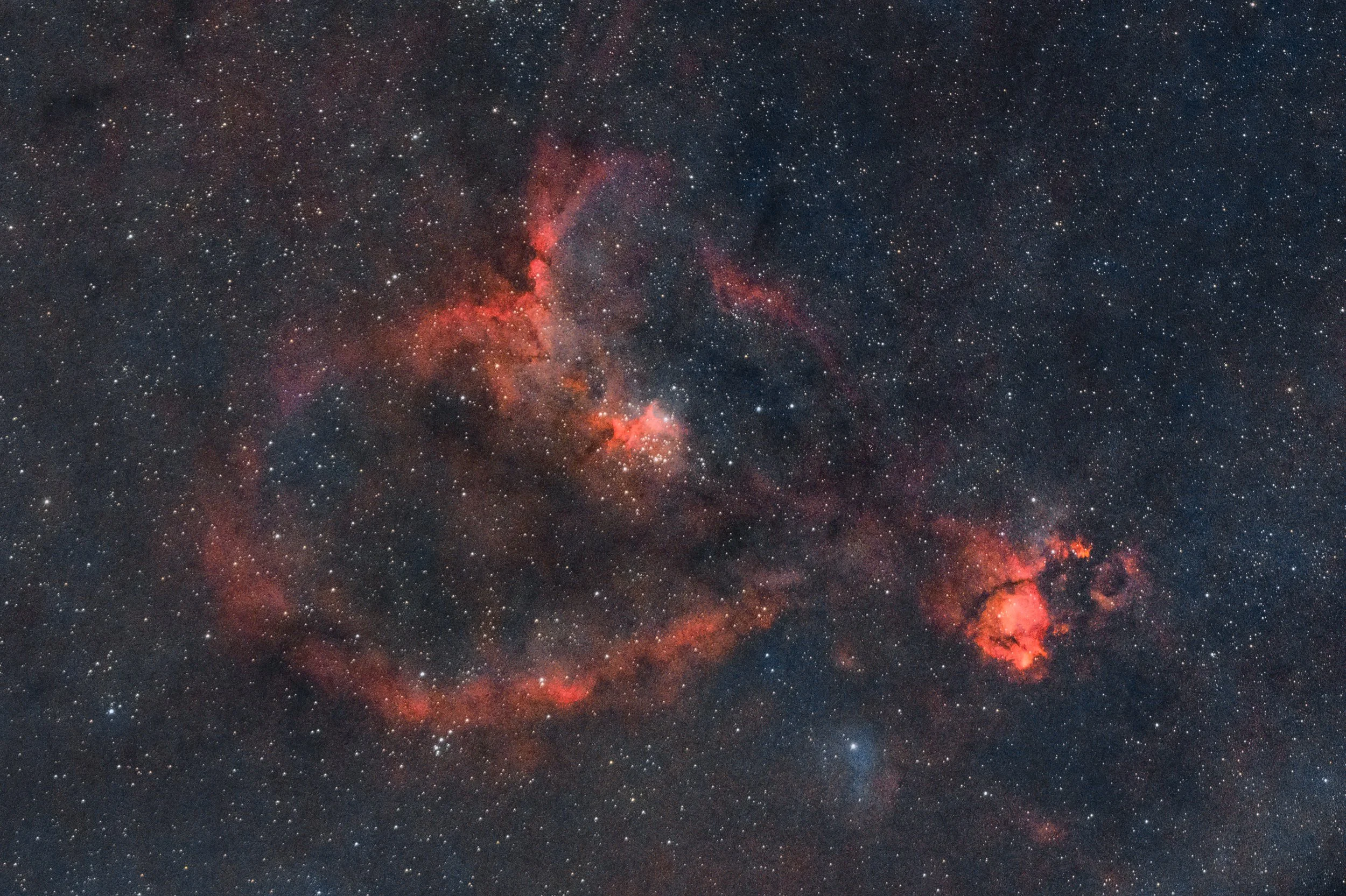 starmask_result_7950s_GraXpert_color_stretch2-sat_sharpened_denoised.jpg