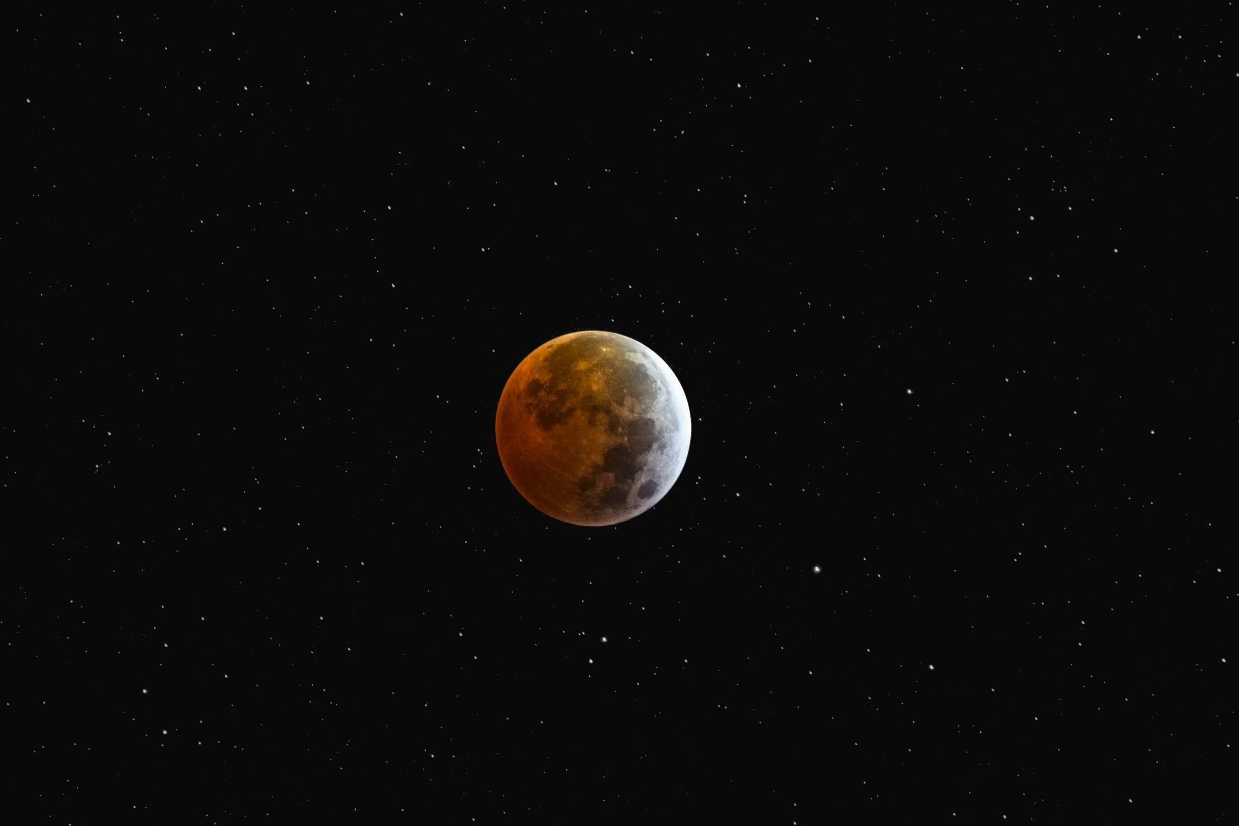 DSC_1294-Edit.jpg