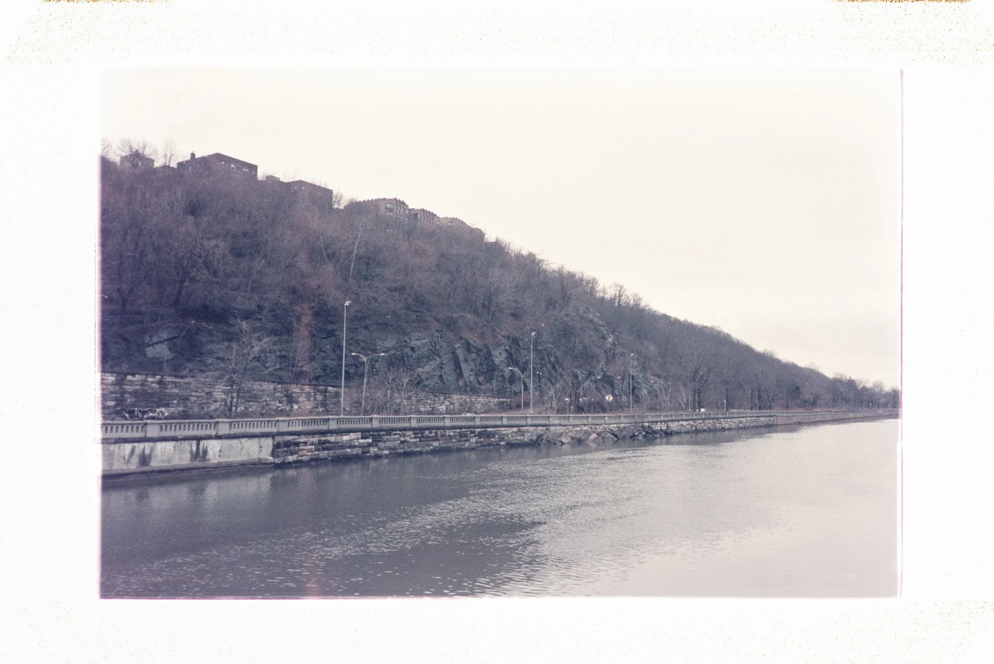 DSC_2711.NEF.jpg