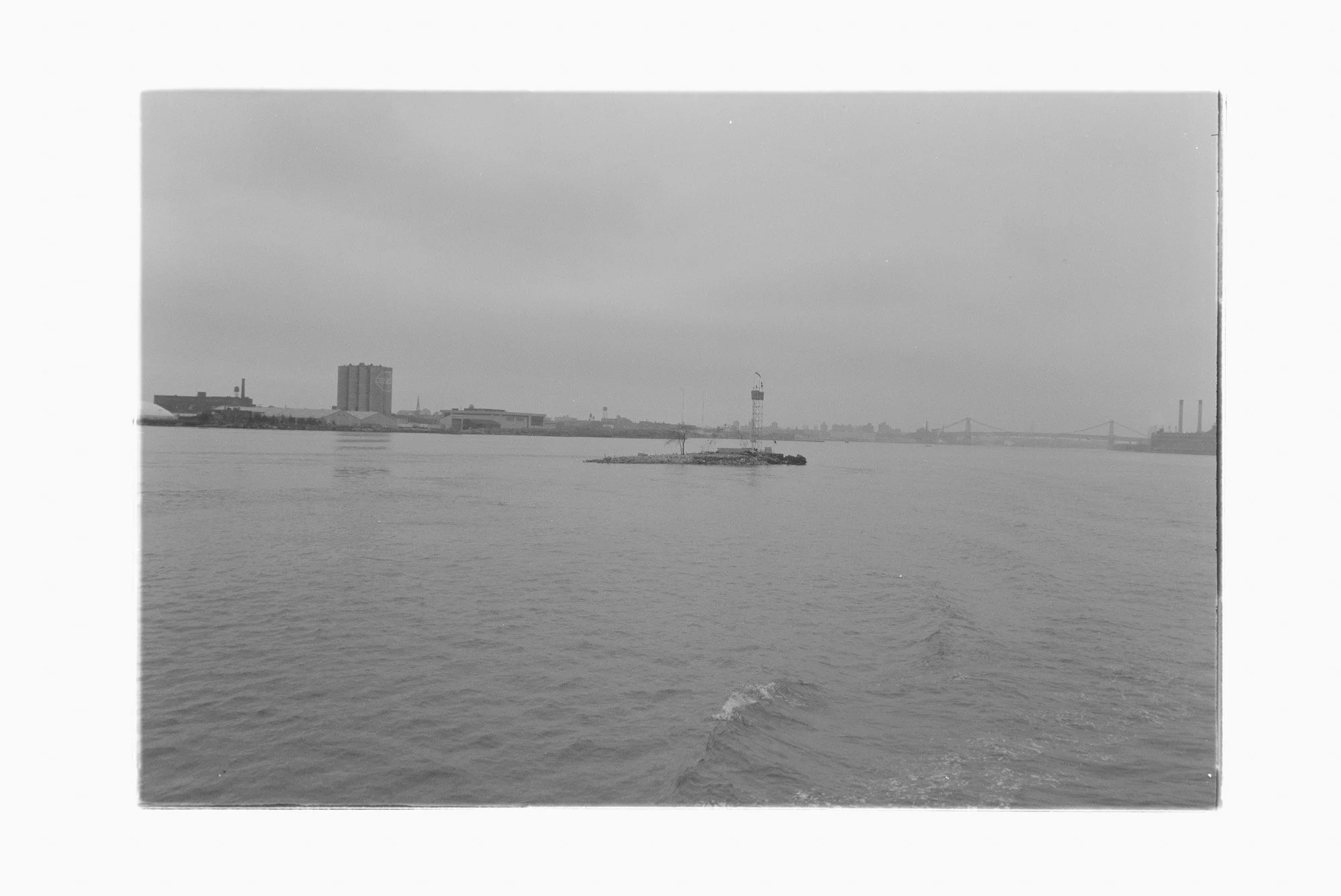 DSC_2781.NEF.jpg