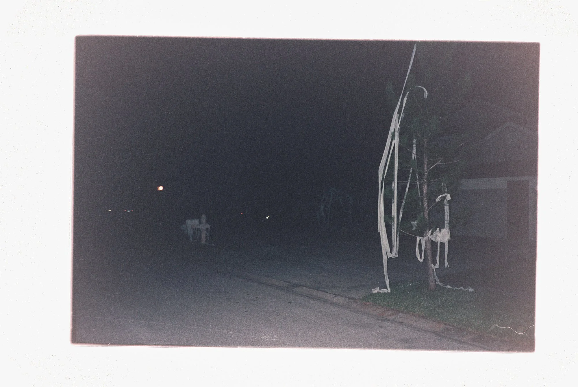 DSC_2643.NEF.jpg