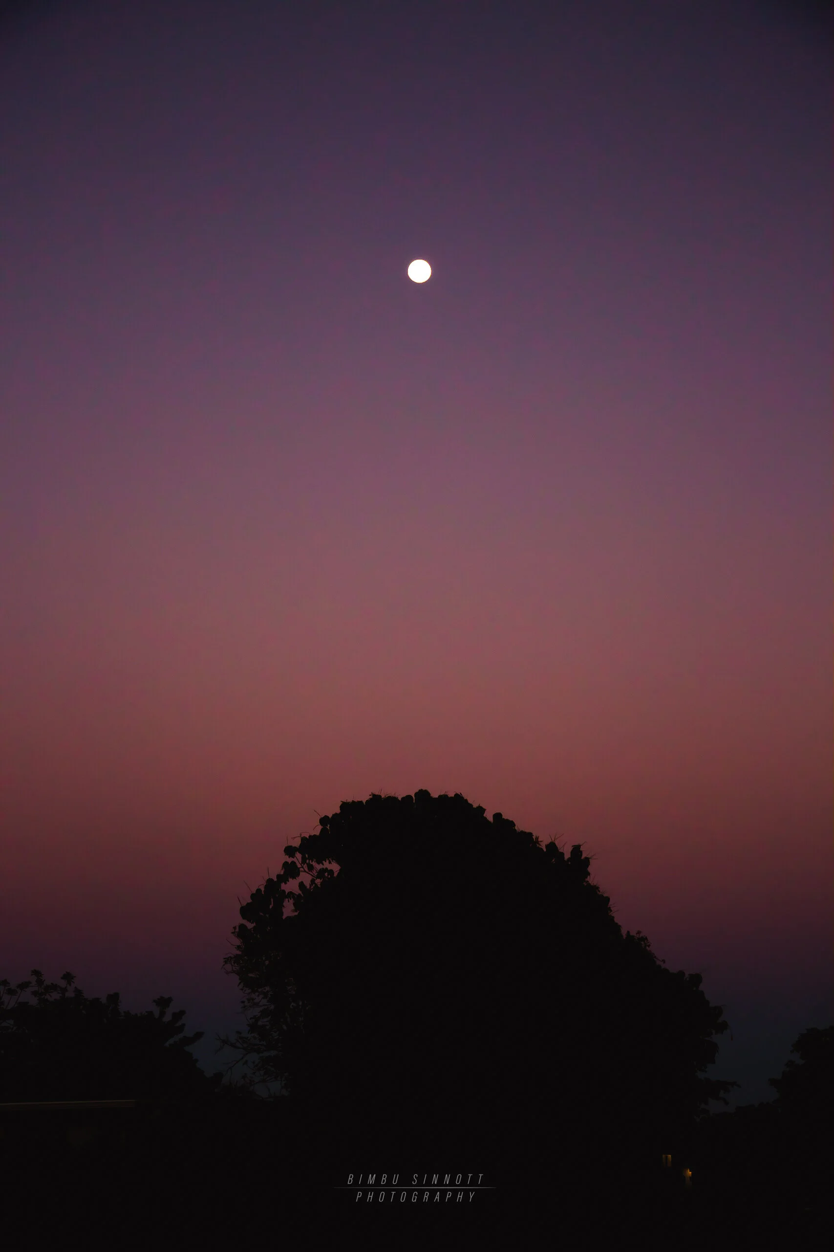 _C6A9453.jpg